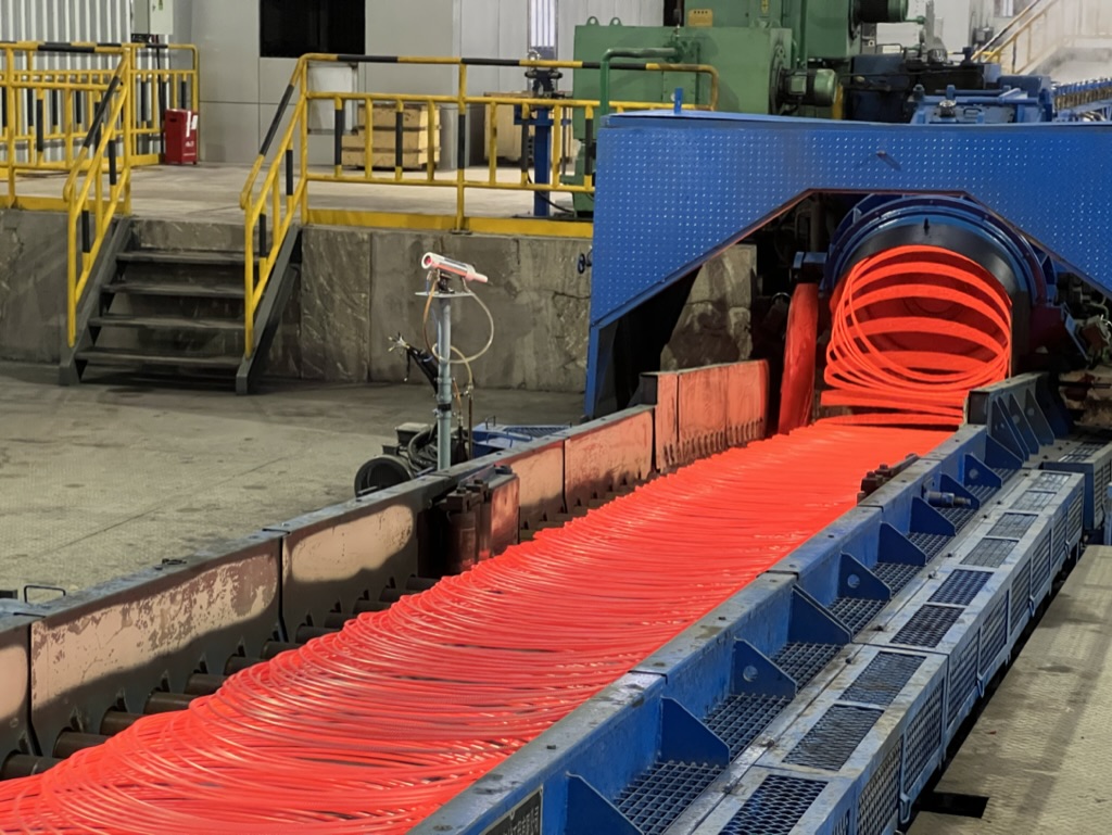 Wire rod production line